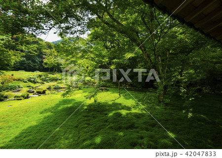 本吉山 清水寺 本坊庭園 本吉山 清水寺 本坊庭園 42047833