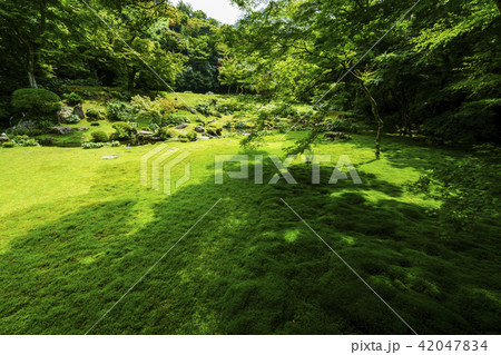 本吉山 清水寺  本坊庭園 42047834