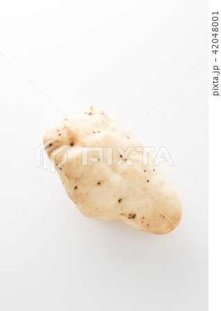 大和芋 大和芋 42048001