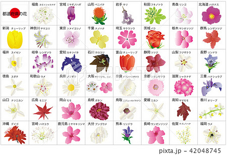 都道府県の花シンプル枠名称のイラスト素材