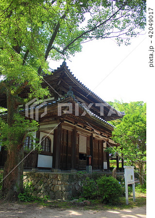 法輪山覚苑寺本堂 42049017