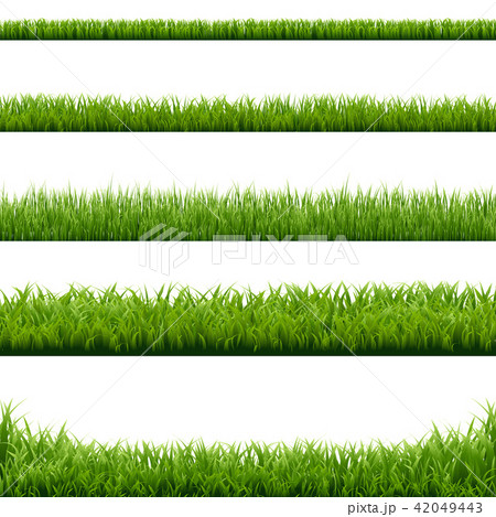 Big Set Green Grass Borders 42049443