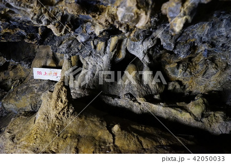 日本一長い鍾乳洞安家洞 42050033