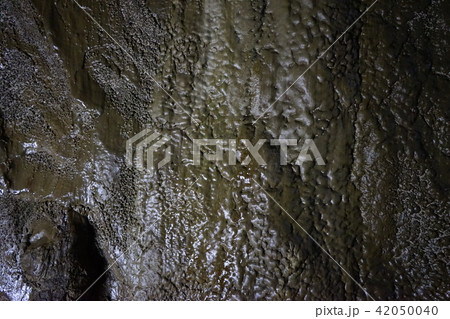 日本一長い鍾乳洞安家洞 42050040