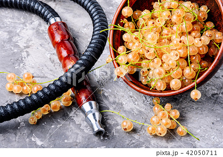 oriental shisha with white currant 42050711