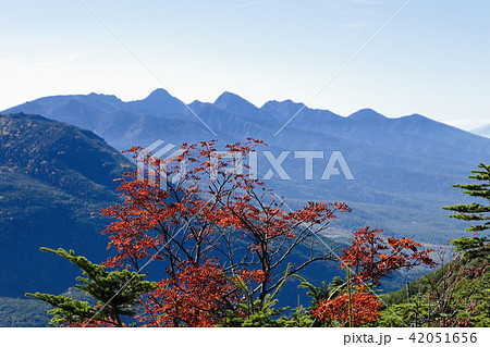 蓼科山登山道より 紅葉と八ヶ岳連峰の写真素材