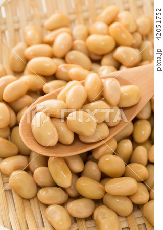 大豆水煮 大豆水煮 42051752