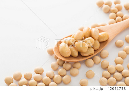 大豆水煮 42051758