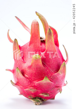 ピタヤ サンカクサボテン ドラゴンフルーツ 42052245