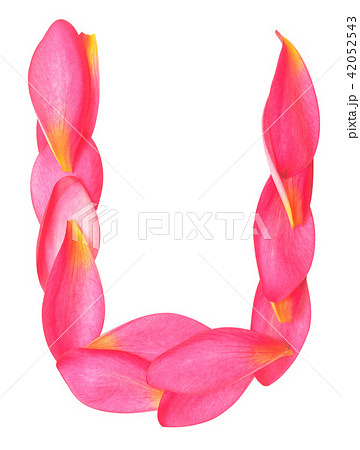 letter U letter U 42052543