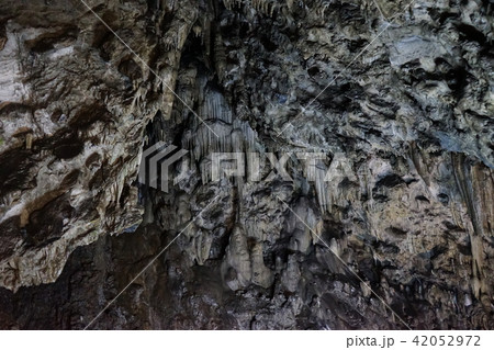 日本一長い鍾乳洞安家洞 日本一長い鍾乳洞安家洞 42052972