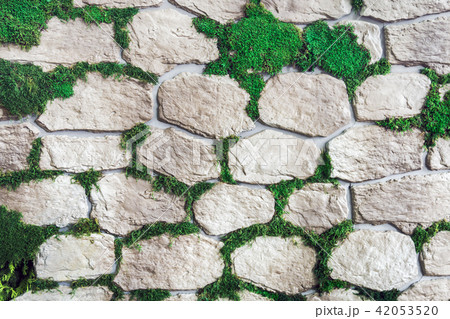wall of decorative stone and moss  42053520