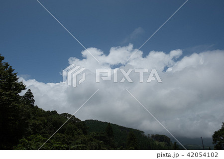 宮崎日南海岸堀切峠周辺の風景58 宮崎日南海岸堀切峠周辺の風景58 42054102