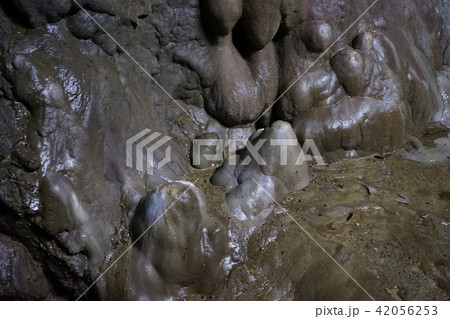 日本一長い鍾乳洞安家洞 42056253