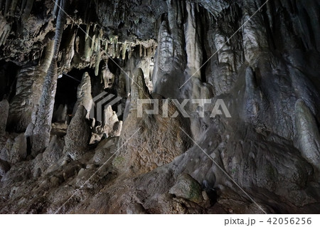 日本一長い鍾乳洞安家洞 42056256