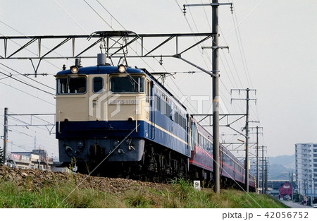 1994年 東海道線を行くEF651108サロンエクスプレス東京 1994年 東海道線を行くEF651108サロンエクスプレス東京 42056752