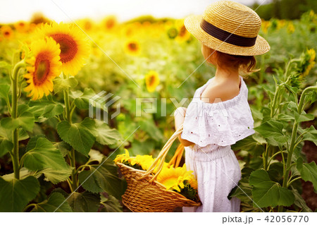 little girl in a white dress, a straw hat with a basket full of sunflowers in a field 42056770