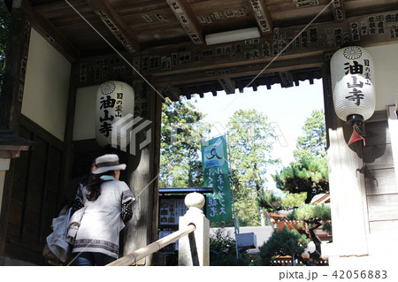 油山寺 油山寺 42056883