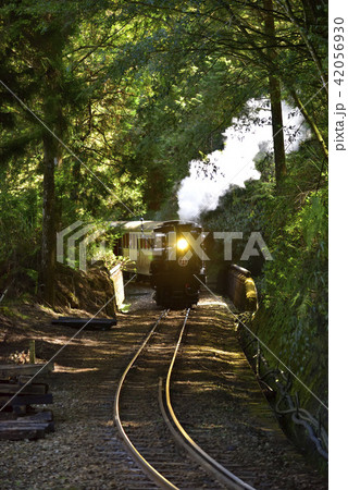 電車 列車 イベント列車 42056930
