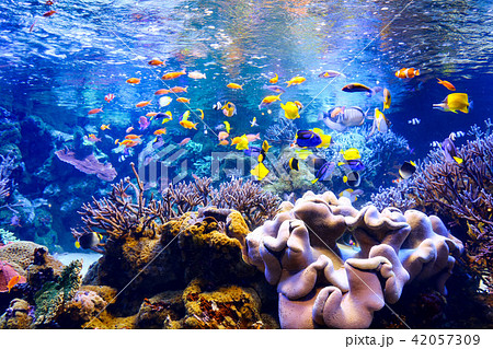 鳥羽水族館の写真素材