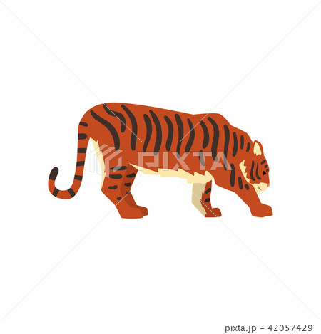 Powerful tiger, side view, wild cat, predator cartoon vector Illustration on a white background 42057429