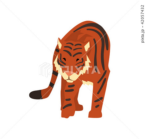 Powerful tiger, wild cat, predator cartoon... - Stock Illustration  [42057432] - PIXTA