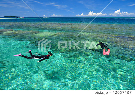 沖縄 シュノーケリング イメージ 沖縄 シュノーケリング イメージ 42057437