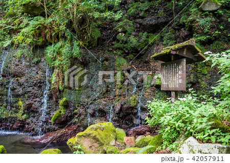 （神奈川県）箱根小涌谷　千条の滝（ちすじのたき） 42057911