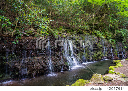 (神奈川県)箱根小涌谷 千条の滝(ちすじのたき) (神奈川県)箱根小涌谷 千条の滝(ちすじのたき) 42057914