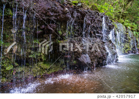 （神奈川県）箱根小涌谷　千条の滝（ちすじのたき） 42057917