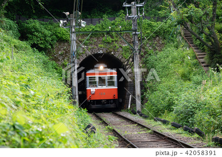 (神奈川県)アジサイ咲く 箱根登山鉄道 (神奈川県)アジサイ咲く 箱根登山鉄道 42058391