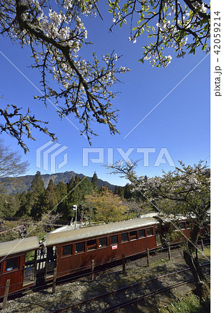 電車 列車 イベント列車 42059214
