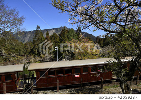 電車 列車 イベント列車 42059237