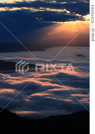雲海の朝（北海道津別峠） 42059564