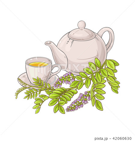 licorice tea illustration licorice tea illustration 42060630