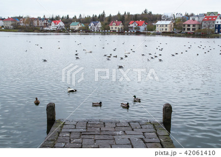 湖 鳥 都市 42061410