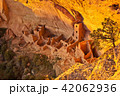 Mesa Verde - Square House Ruin 42062936