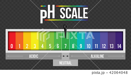 Creative vector illustration of pH scale value isolated on background. Chemical art design Creative vector illustration of pH scale value isolated on background. Chemical art design 42064048