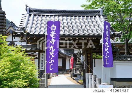 白毫寺 白毫寺 42065487