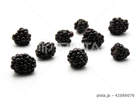Blackberry isolated on white 42066076