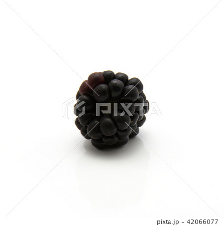 Blackberry isolated on white 42066077