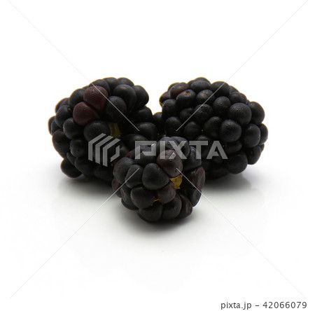 Blackberry isolated on white 42066079