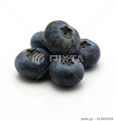 Bog billberry isolated on white 42066099