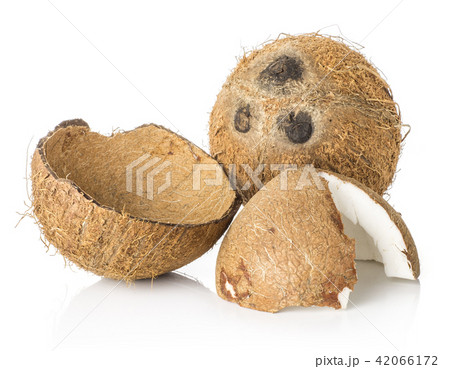 Fresh brown coconut isolated on white 42066172