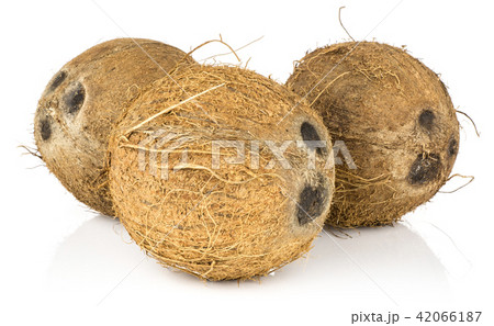 Fresh brown coconut isolated on white Fresh brown coconut isolated on white 42066187