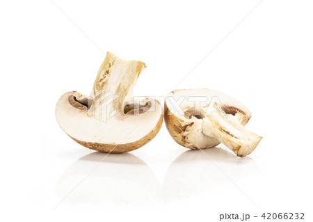 Fresh raw brown champignons isolated on white 42066232