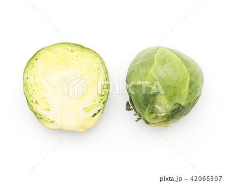 Raw brussels sprout isolated 42066307