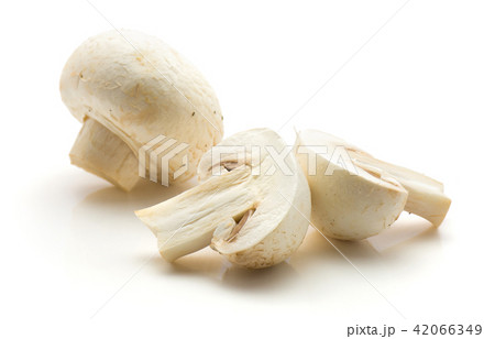 Raw champignons isolated on white Raw champignons isolated on white 42066349