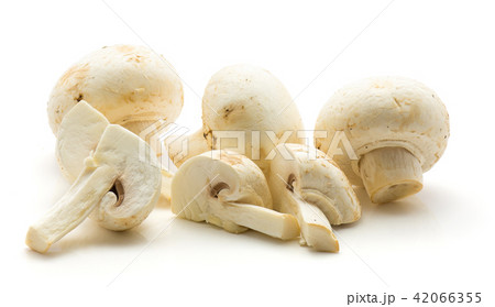 Raw champignons isolated on white Raw champignons isolated on white 42066355