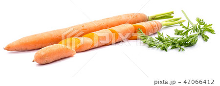 Raw carrot isolated on white Raw carrot isolated on white 42066412